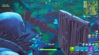 楽しくフォートナイト