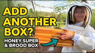 Beekeeping 101 - Add Another Box? Honey Super vs Brood Box Explained 🌻