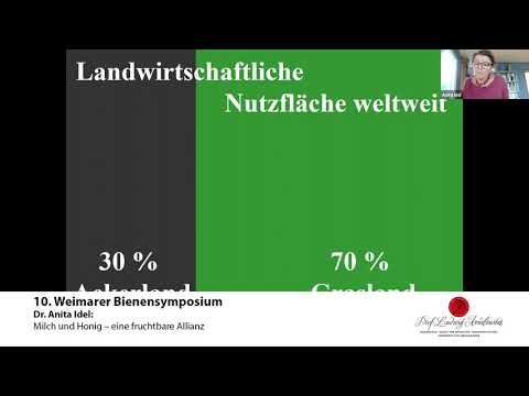 Dr. Anita Idel: Milch und Honig – eine fruchtbare Allianz