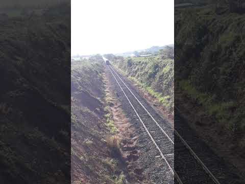 santa ernestina sp #shorts