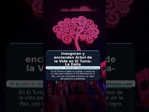 Inauguran y encienden Árbol de la Vida en El Tuma- La Dalia