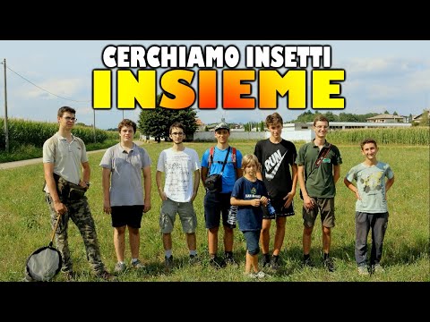 "Trappola epica finita male" - Campionamento al Parco Pineta di Appiano Gentile e Tradate