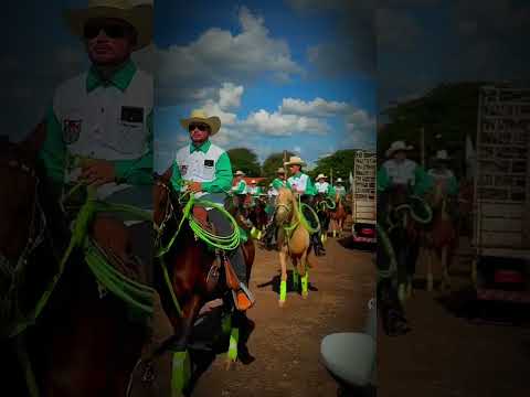 Comitiva Guerobas Ranch a top de Goiás #cavalo #zezé #goiás