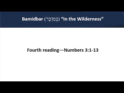 Bamidbar 4th Reading (Aliyah) Numbers 3:1-13