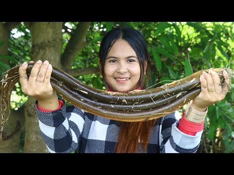 Awesome Cooking Spicy Stir-Fried Fresh Water Eel Dilecious Cook Recipe -Yummy Eating Show No Talking