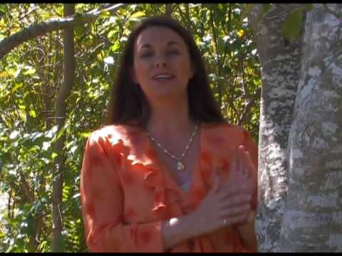 A Little Peace by Charlie Dicks