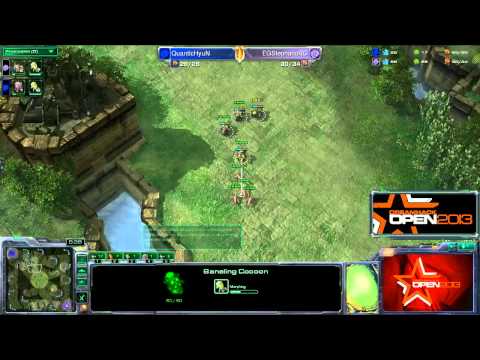 DH Open Summer 2013 - HyuN vs Stephano Game 2