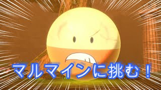 マルマインに挑んでみた。【Pokémon LEGENDS アルセウス】