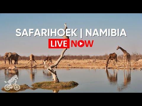 Safarihoek Wildlife Webcam in Namibia