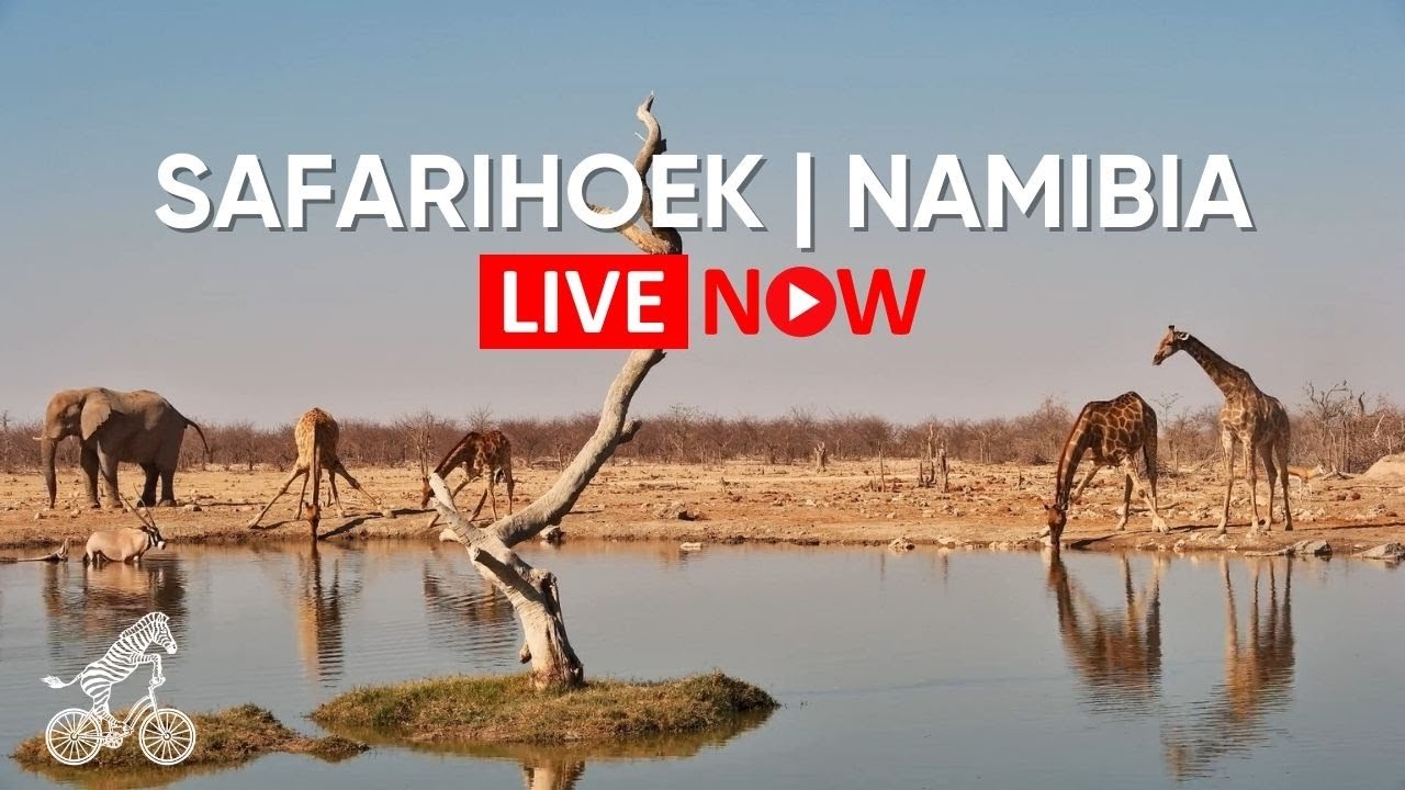 Live webcam view of Safarihoek Waterhole Wildlife Cam