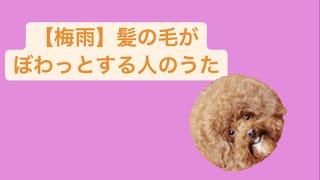 【梅雨あるある】髪の毛がぼわっとする人のうた feat.初音ミク(DEMO) #Shorts #vocaloid