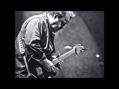 Steve Rothery - Summers End