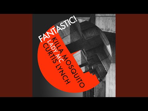 Fantastic (feat. Curtis Lynch & Lady MC)