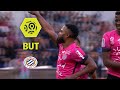 But Stéphane SESSEGNON (55') / Montpellier Hérault SC - OGC Nice (2-0)  / 2017-18