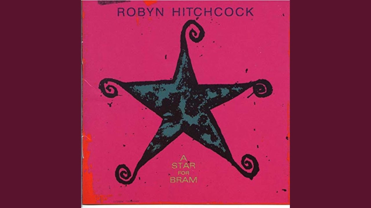 Robyn Hitchcock - I Wish I Liked You