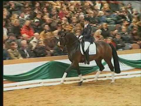 FIDERTANZ: Rheinland stallion by www.equine-evolution.com