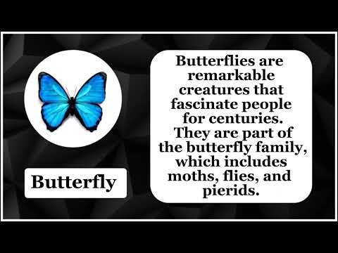 English Vocabulary with Pictures Part 02 | Vocabulary for Learning English | Bittu English |