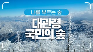 나를 부르는 숲 - 대관령 국민의 숲