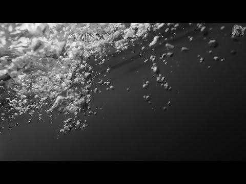 podval capella – majesty