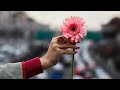 Zindagi Songs Of Kishore Da Sung By MeenaDsouza