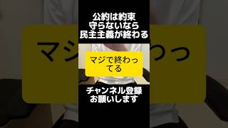 国民との約束…自民党の食料品消費税ゼロ公約、年度内困難や1％案で迷走。レジ問題は公約前に確認すべきでは？特定の団体や省庁の意向で止まるのは民主主義としてどうなん？消費税は一律減税一択です。