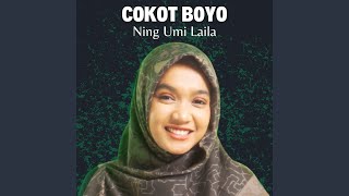 Download lagu Cokot Boyo mp3