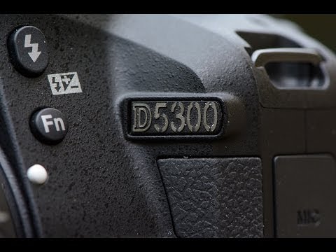 LensVid Exclusive: Nikon D5300 Review