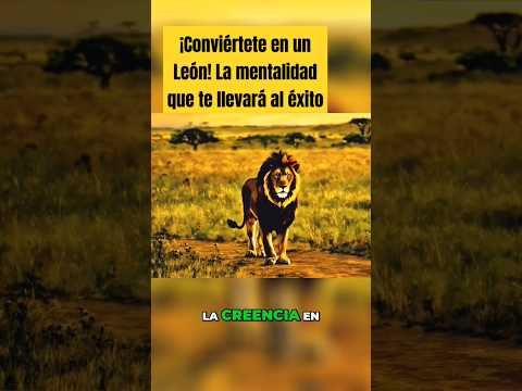 ¡Conviértete en un León! La mentalidad que te llevará al éxito🦁#shorts #motivacion