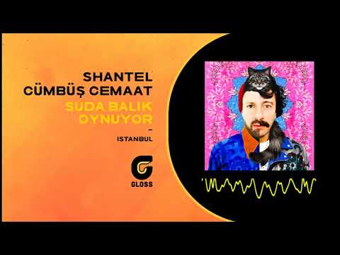 Shantel & Cümbüş Cemaat - Suda Balık Oynuyor (İstanbul)