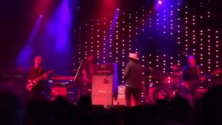 Wilco - Camera (Cactus Festival 2016)