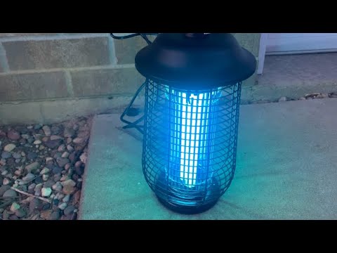 Fly Trap Lamp