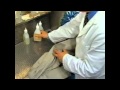 Permak Makina Leke İşlemleri