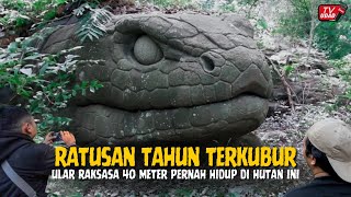 Download lagu WARGA KETAKUTAN‼️ Saat Dipegang, Tiba-Tiba Batu Ular Raksasa Itu Bergerak Sendiri, Bikin Merinding mp3
