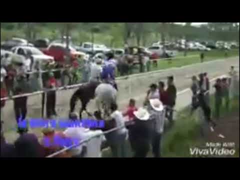 La Mora Manzana C. Los pelones VS la Reina