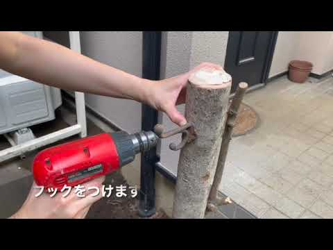 折れた木の枝を修復するにはどうすればよいですか?シンプルな解決策があります。  庭園