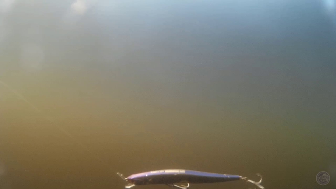 Видео Воблер IMA NABARONE 125F