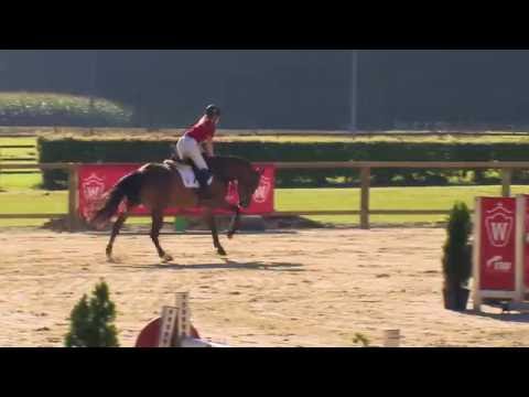 12 Lanxima  Stute v. Lancer III - Cavalier (Mister)