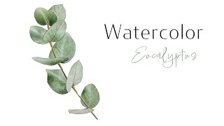 How to paint Eucalyptus plant with watercolors