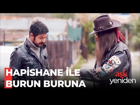 Şevket Reis, Sivil Polis ile Karşı Karşıya - Aşk Yeniden