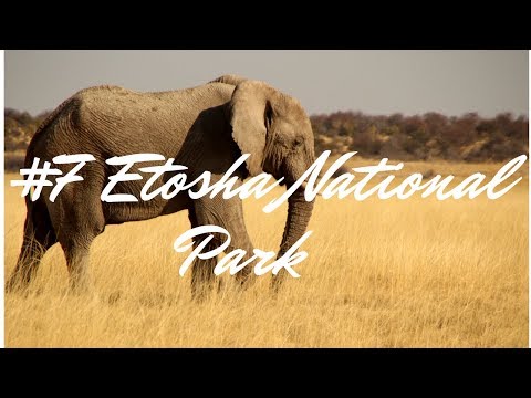 ETOSHA NATIONAL PARK ● NAMIBIA #7 🇳🇦