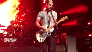 Bush Sky Turns Day Glo Live