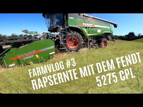 Fendt Mähdrescher im Test FarmVlog#3 Rapsernte mit dem neuen Drescher