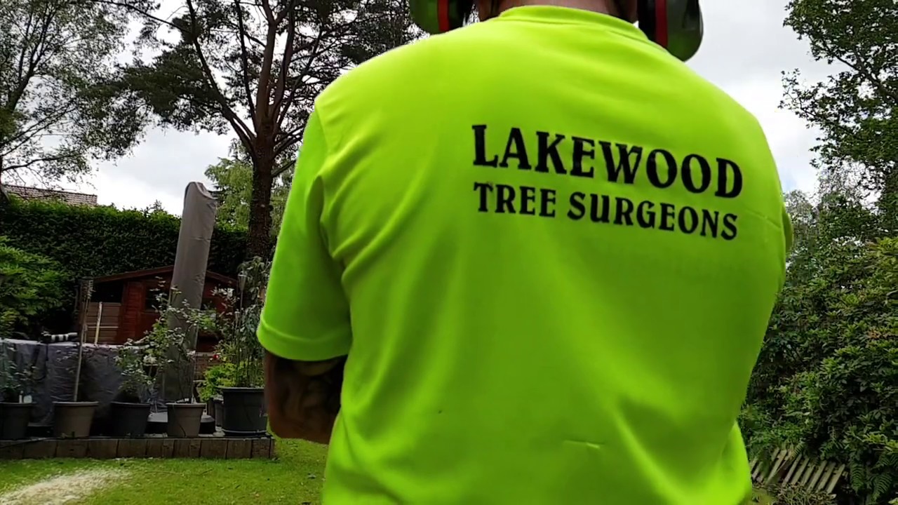 Lakewood Tree Surgeons