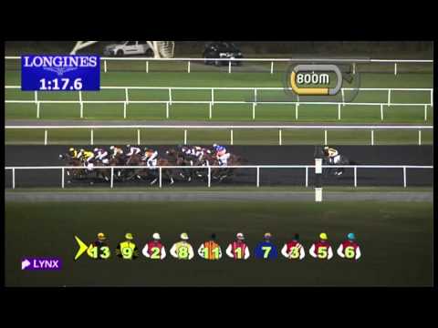 19.01.2013 Meydan (Dubai-UAE) 1.Race Swaidan Trading, Rubber Division Trophy - Maiden 1.900 m