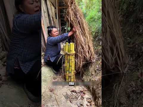 Bí Mật Quy Trình Chế Tác Đường Hổ Phách Giá Hàng Chục Triệu Đồng!