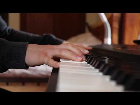 Faces of the Forest - David Lanz