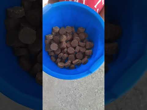 cajetas de leche cajetas de coco  estamos ubicados en villanueva departamento de chinandega