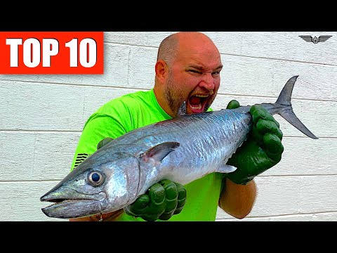 10 BEST FISH TO EAT