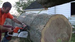 Stihl MS880 In Big Oak Stihl MS880 In Big Oak