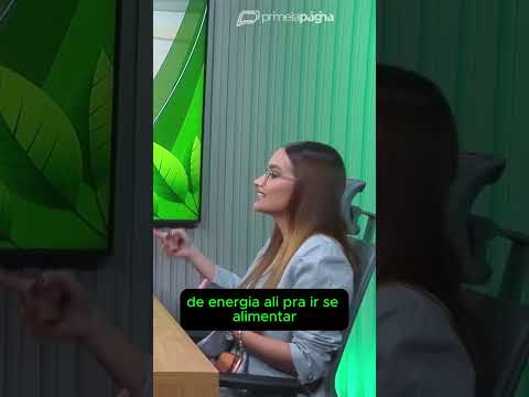 Confinamento precisa de investimento maior, mas traz vantagens